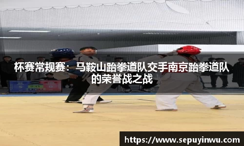 杯赛常规赛：马鞍山跆拳道队交手南京跆拳道队的荣誉战之战