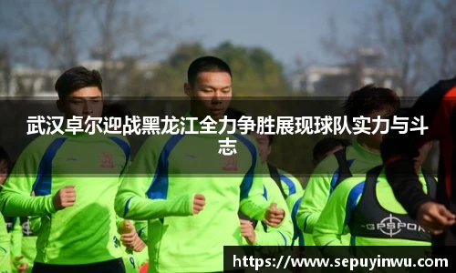 武汉卓尔迎战黑龙江全力争胜展现球队实力与斗志